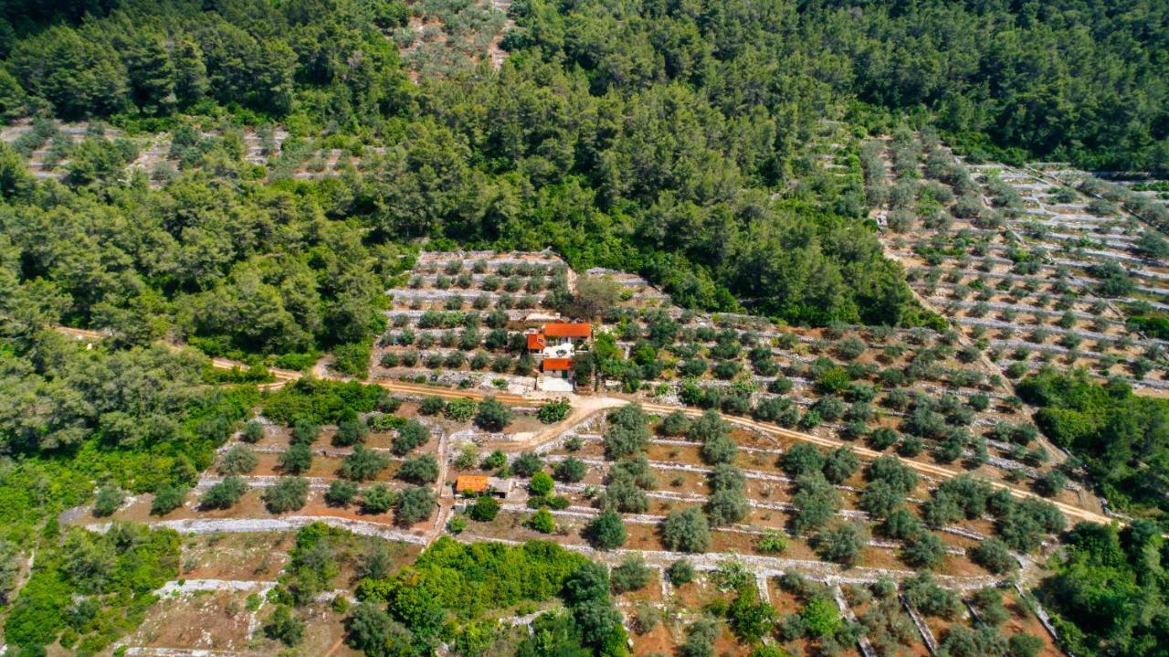Holiday Home Liberan Vela Luka Esterno foto